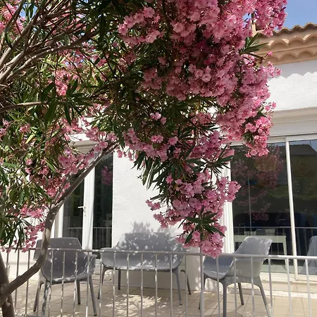 Belle Spacieuse Avec Piscine Privee, Semi Climatisee- 10 Couchages, Wifi, Proche Canal Du Midi Et A 4 Km De La Lxpin7 Villa *